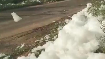 Toxic foam flows to roads from Madurai canal (ANI) Toxic foam flows to roads from Madurai canal (ANI)