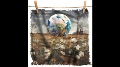 Why is radical rethinking vital? Growing plant-based fibres such as cotton consumes 55 to 99 billion cubic metres of water per year worldwide (not counting rain water), or roughly as much as all households in India use in a year or two. (Images: Adobe Stock and Midjourney; Photo imaging: Puneet Kumar)