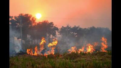 A day after a crackdown by the state government on farmers indulging in stubble burning, farmer unions have condemned the action asking them to stop registration of FIRs and stop penalising farmers for burning straw. (PTI File photo)