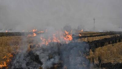 Ludhiana, India – November 08, 2023: Despite a ban on the Stubble Burning, local farmers are still indulged in the practice, ignoring the orders and effect on the environment. Farmers are setting the stubble on fire in their fields at Village Jodhan nearby in Ludhiana on Wednesday, November 08, 2023. This photos click at 4:30 pm (Photo by Gurpreet Singh/Hindustan Times) Ludhiana, India – November 08, 2023: Despite a ban on the Stubble Burning, local farmers are still indulged in the practice, ignoring the orders and effect on the environment. Farmers are setting the stubble on fire in their fields at Village Jodhan nearby in Ludhiana on Wednesday, November 08, 2023. This photos click at 4:30 pm (Photo by Gurpreet Singh/Hindustan Times)