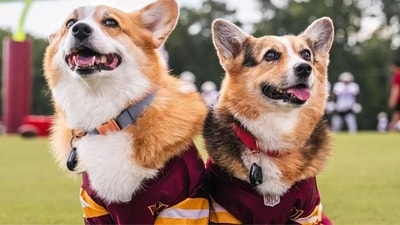 Hammy and Olivia (Instagram) Hammy and Olivia (Instagram)