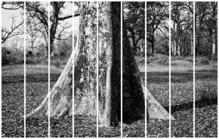 Artist Atul Bhalla's works are displayed at this solo exhibition.