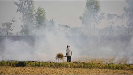 Attorney general R Venkatramani informed the court that the meeting chaired by the cabinet secretary found that 93% of farm fires took place in Punjab. (HT PHOTO)