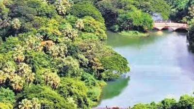 A resolution was taken in the Shirui village half yearly sitting recently. (Representative file image) A resolution was taken in the Shirui village half yearly sitting recently. (Representative file image)