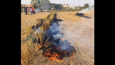 AQI improves in Haryana (PTI)