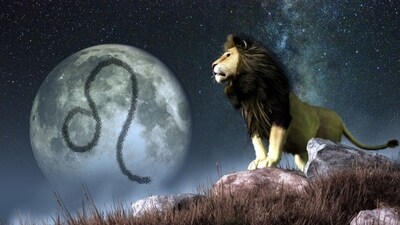 Leo Daily Horoscope for November 12 to 18, 2023: This week bids adieu to stagnant work dynamics, summoning you to be bold and lay the foundations of breakthrough career moments.