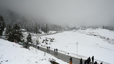 Gulmarg stands out as an amazing tourist destination, renowned for its breathtaking views during the snowfall season and the blooming lupine flowers, which typically grace the landscape from mid-June to the end of July. (HT Photo/Waseem Andrabi) Gulmarg stands out as an amazing tourist destination, renowned for its breathtaking views during the snowfall season and the blooming lupine flowers, which typically grace the landscape from mid-June to the end of July. (HT Photo/Waseem Andrabi)