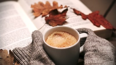 Thanksgiving decor ideas for the fall season (Pixabay) Thanksgiving decor ideas for the fall season (Pixabay)