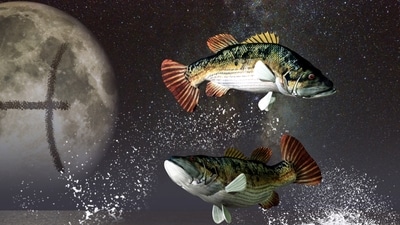 Weekly Horoscope Pisces, November 12- 18, 2023 The upcoming week opens a mystical portal for Pisces, expanding the spiritual realms and improving the harmony within yourself and in your relationships.