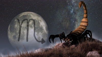 Weekly Horoscope Scorpio, November 12-18, 2023: Prepare yourself for impactful changes that will bring you face-to-face with your dreams.
