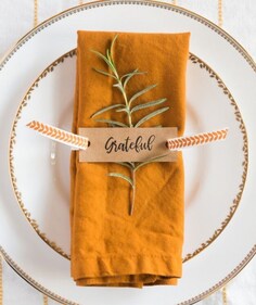 Creative napkin rings (Pinterest) Creative napkin rings (Pinterest)