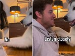 The image shows a dog named Hugo with his pet dad. 