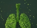 lungs