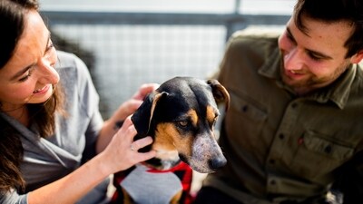 Owning pets cannot guarantee pet parent's well-being? Here what new study says (Unsplash) Owning pets cannot guarantee pet parent's well-being? Here what new study says (Unsplash)