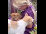 Little girl petting the kitten. Little girl petting the kitten.