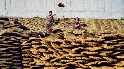 Do'sCreate a Govardhan Parvat out of cow dung outside your house before initiating the worship of Lord Krishna. (File Photo) Do'sCreate a Govardhan Parvat out of cow dung outside your house before initiating the worship of Lord Krishna. (File Photo)