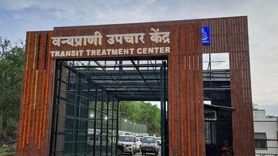 Pune forest division has received a ₹30-crore fund proposal to launch phase two project of transit treatment centre, said officials (HT) Pune forest division has received a ₹30-crore fund proposal to launch phase two project of transit treatment centre, said officials (HT)