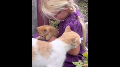 Little girl petting the kitten. (X/@Yoda4ever) Little girl petting the kitten. (X/@Yoda4ever)
