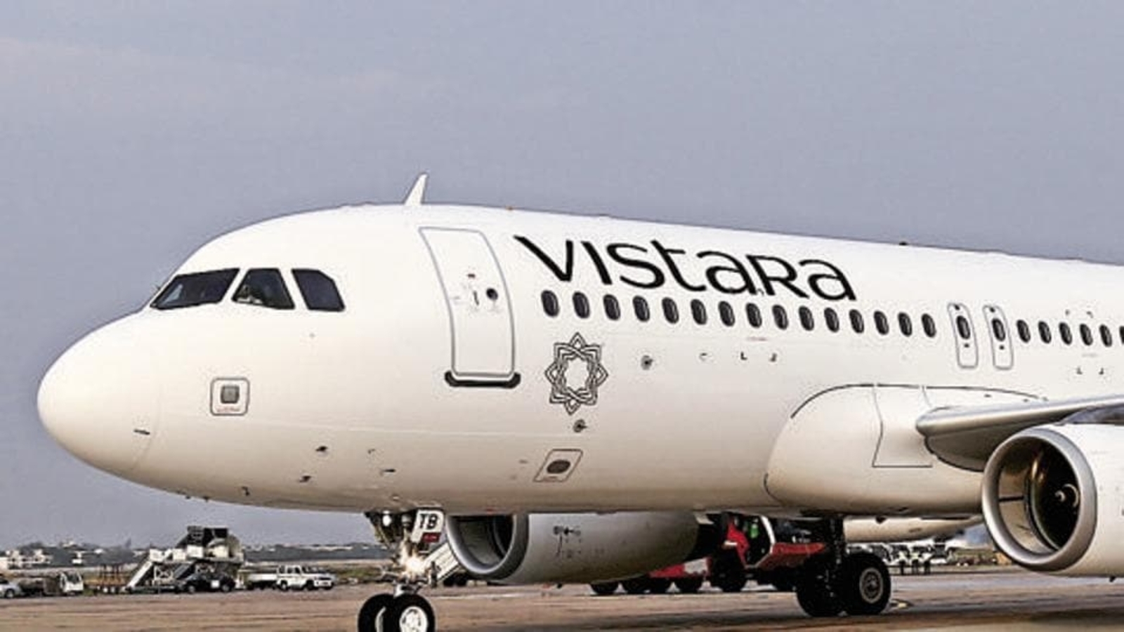 Stray dog at Goa airport forces Vistara flight to return to Bengaluru | Bengaluru - Vimarsana News