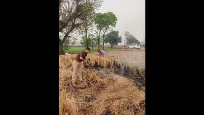 As the number of farm fire cases has gone up in Punjab despite the Supreme Court directions, the state government appears to be “going soft on farmers and is dithering from registering FIRs”. (HT Photo) As the number of farm fire cases has gone up in Punjab despite the Supreme Court directions, the state government appears to be “going soft on farmers and is dithering from registering FIRs”. (HT Photo)
