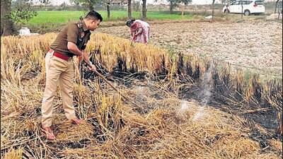 Barnala deputy commissioner Punamdeep Kaur and the district’s SSP Sandeep Malik douse paddy stubble set on fire. (HT Photo)