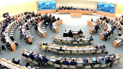 Indian diplomat Mohammed Hussain noted legislative enactments such as the National Housing Strategy Act and the Accessible Canada Act while addressing the issue at the Council meeting. (ANI/Twitter)