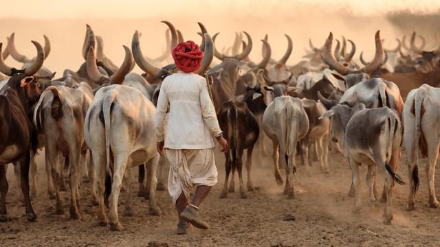 About ‘Chakmak’ by Ramesh Karthik Nayak: “The poems reveal a continuity with the life of the land, beyond the human and even beyond the animate, which remains unnoticed but for the idiosyncrasy of a budding poetic sensibility.” (Dietmar Temps/Shutterstock) About ‘Chakmak’ by Ramesh Karthik Nayak: “The poems reveal a continuity with the life of the land, beyond the human and even beyond the animate, which remains unnoticed but for the idiosyncrasy of a budding poetic sensibility.” (Dietmar Temps/Shutterstock)
