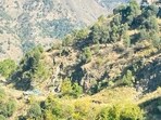 Many feared dead in bus accident in Jammu and Kashmir.