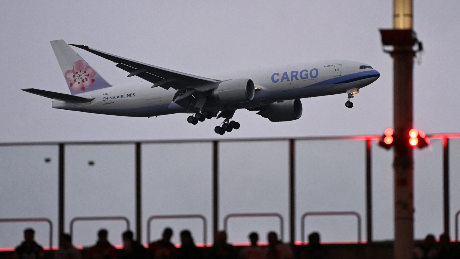 Plane forced to make emergency return to New York after horse breaks free - Vimarsana News