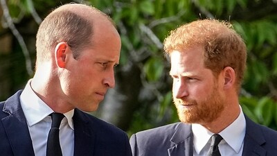 Prince William, Prince Harry (AFP) Prince William, Prince Harry (AFP)