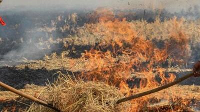 The Punjab government on Wednesday registered 83 FIRs against farmers for burning paddy stubble taking the total number of FIRs against farmers after Supreme Court directions to 336. (HT File Photo) The Punjab government on Wednesday registered 83 FIRs against farmers for burning paddy stubble taking the total number of FIRs against farmers after Supreme Court directions to 336. (HT File Photo)