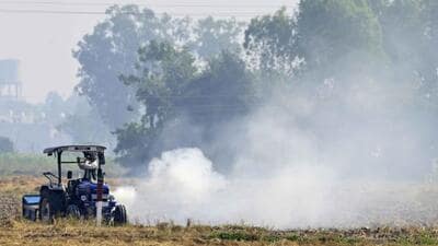 Ludhiana reported 144 fresh farm fires incidents. (Gurpreet Singh/HT)