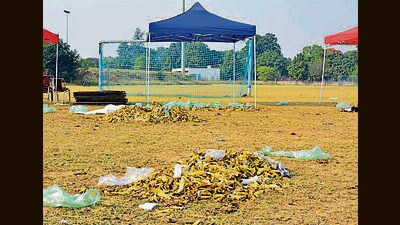 Packaging material, including envelopes, and fruit peels were scattered at the PAU campus after the cycle rally event. (HT PHOTO) Packaging material, including envelopes, and fruit peels were scattered at the PAU campus after the cycle rally event. (HT PHOTO)