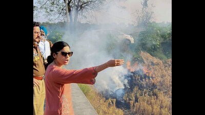Patiala DC Sakshi Sawhney along with a police team tries to douse burning stubble at a field at Nabha village in Patiala on Thursday. (ANI) Patiala DC Sakshi Sawhney along with a police team tries to douse burning stubble at a field at Nabha village in Patiala on Thursday. (ANI)