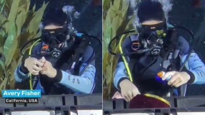 US teen bags world record for most magic tricks performed underwater. (Instagram/@guinnessworldrecords) US teen bags world record for most magic tricks performed underwater. (Instagram/@guinnessworldrecords)
