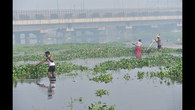 Workers clean the HIndon river banks for the upcoming Chhath festival, in Ghaziabad, on Thursday. (Sakib Ali/HT Photo) Workers clean the HIndon river banks for the upcoming Chhath festival, in Ghaziabad, on Thursday. (Sakib Ali/HT Photo)
