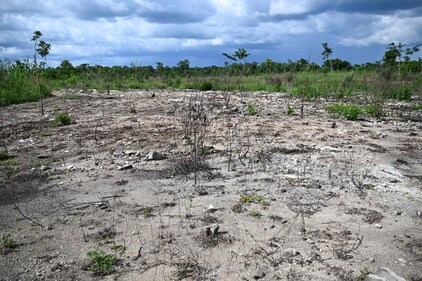 The worst impact was apparent in Jamaica, Guatemala and Rwanda. (CREDIT: AFP ) The worst impact was apparent in Jamaica, Guatemala and Rwanda. (CREDIT: AFP )