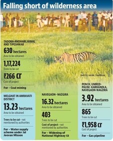The reduction of tiger areas can result in fights over territory and the widening of highways in tiger areas lead to accidents. (HT Graphics) The reduction of tiger areas can result in fights over territory and the widening of highways in tiger areas lead to accidents. (HT Graphics)