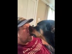 The image shows a dog with its pet dad. 