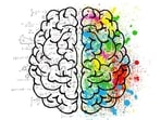 How hunger hormones impact decision-making brain area to drive behavior: Study How hunger hormones impact decision-making brain area to drive behavior: Study