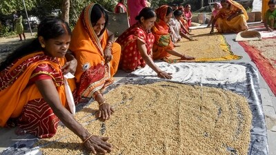 On the first day of the four-day Chhath Puja festival in Patna, devotees diligently dry wheat in preparation for making prasad to mark the Nahay Khay, an important ritual in the festival celebrations on Friday. (ANI Photo) On the first day of the four-day Chhath Puja festival in Patna, devotees diligently dry wheat in preparation for making prasad to mark the Nahay Khay, an important ritual in the festival celebrations on Friday. (ANI Photo)