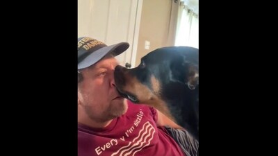 The image shows a dog with its pet dad. (Screengrab) The image shows a dog with its pet dad. (Screengrab)