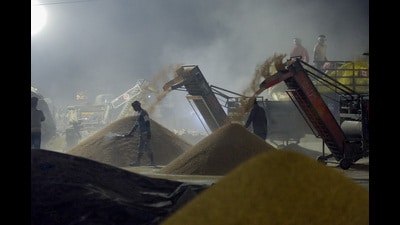 Labourers winnowing the grains at the grain market in Jalandhar. (ANI) Labourers winnowing the grains at the grain market in Jalandhar. (ANI)