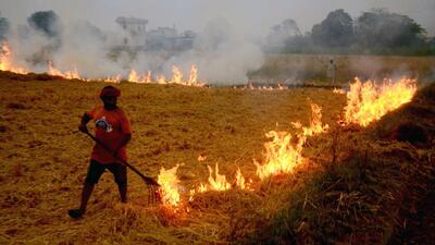 Punjab recorded 2,544 farm fires, a sharp jump from 1,776 on Tuesday and 1,624 on Monday. (ANI) Punjab recorded 2,544 farm fires, a sharp jump from 1,776 on Tuesday and 1,624 on Monday. (ANI)