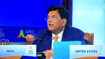Union minister Piyush Goyal. (Piyush Goyal-X) Union minister Piyush Goyal. (Piyush Goyal-X)