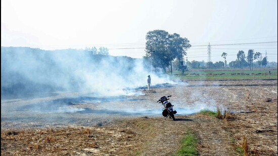A farmer burns stubble in a village near Patiala on Friday. (ANI)