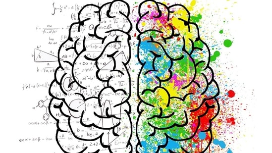 How hunger hormones impact decision-making brain area to drive behavior: Study
