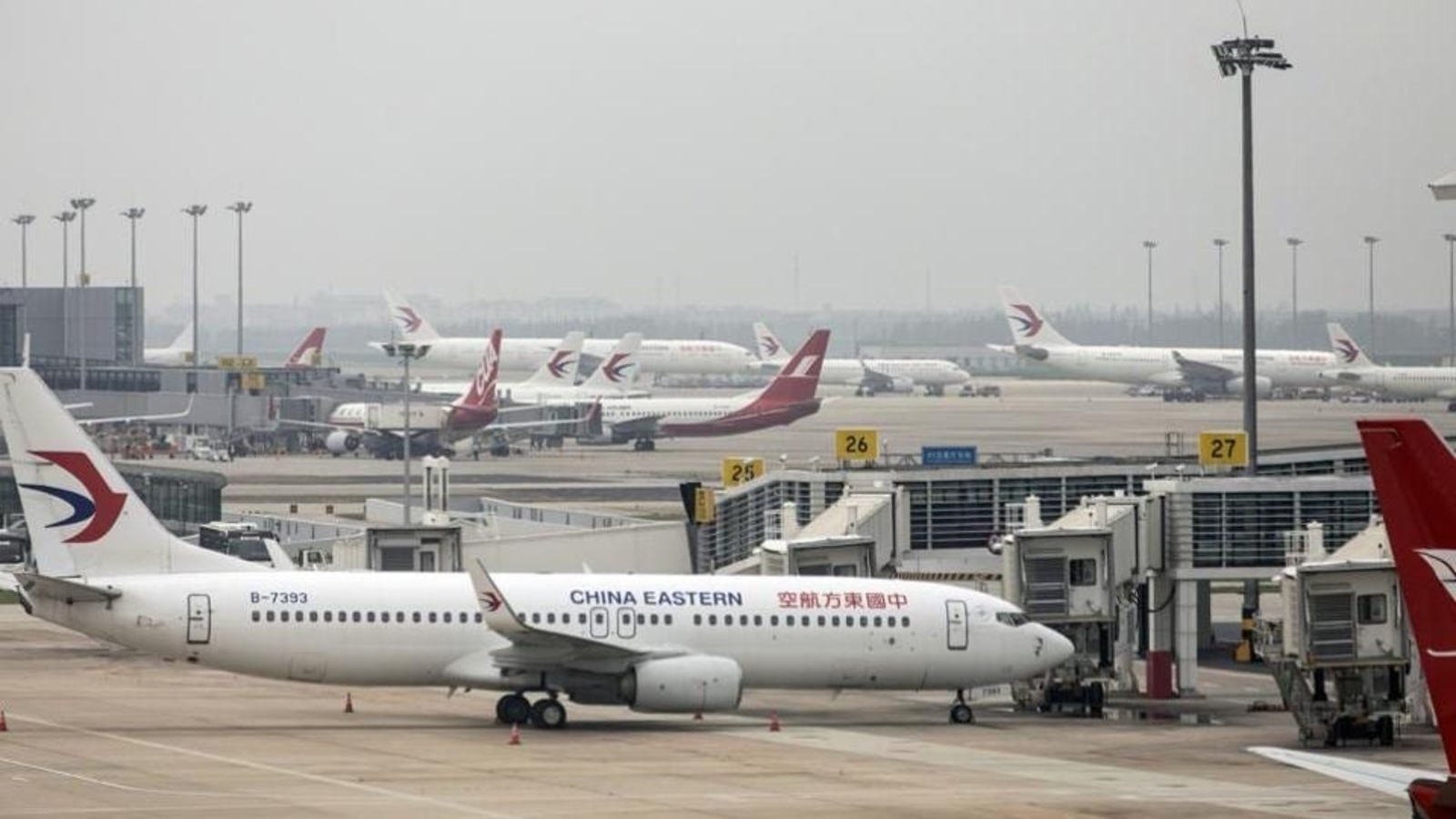 Airline's translation blunder shows 'dog food' on menu: 'What exactly is it?' | World News - Vimarsana News
