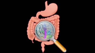 The microbiome process takes a strong stomach, for the donations are of fresh faecal matter. “I don’t smell it any more,” says Dr Prossomariti. (Image by OpenClipart-Vectors from Pixabay )