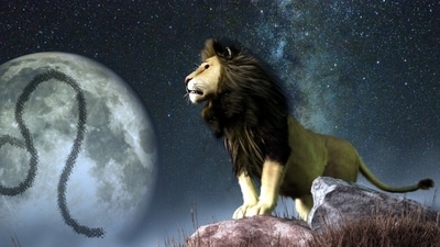 Leo Daily Horoscope for November 19 to 25, 2023: Keep the love life productive and packed this week.